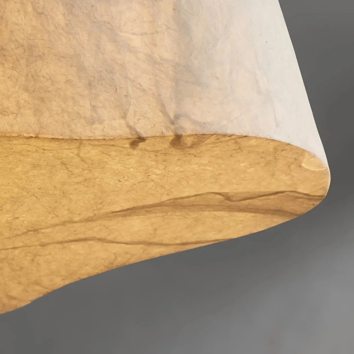 Lester Organic Pendant Light