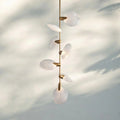 Lyno Nautilus Glass Disc Pendant